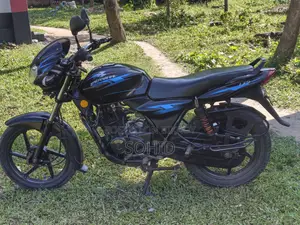 Bajaj Discover 135 2014 Blue
