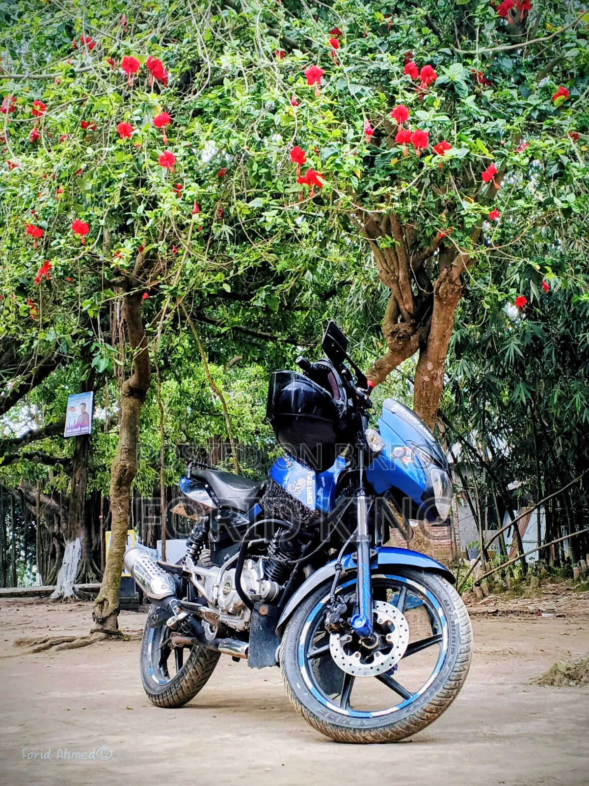 বাজাজ পালসার ১৫০ ২০১৬ নীল