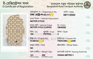Honda Hornet 2019 Orange