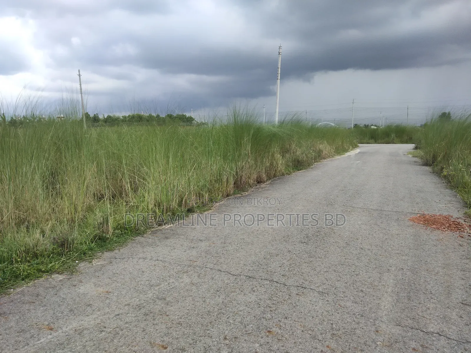 এন-ব্লকে কমিউনিটি পার্কের সন্নিকটে ৩ কাঠার প্লট বিক্রয় বসুন্ধরা আ/এ