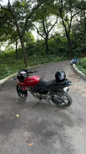 Bajaj Pulsar 150 2012 Red