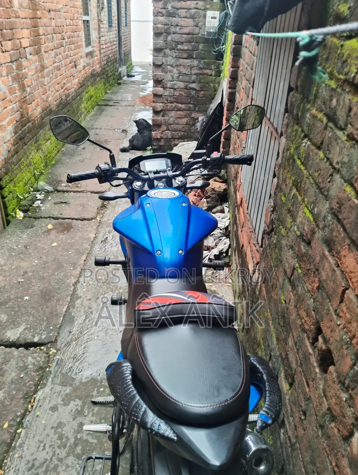 Suzuki Gixxer 2022 Blue