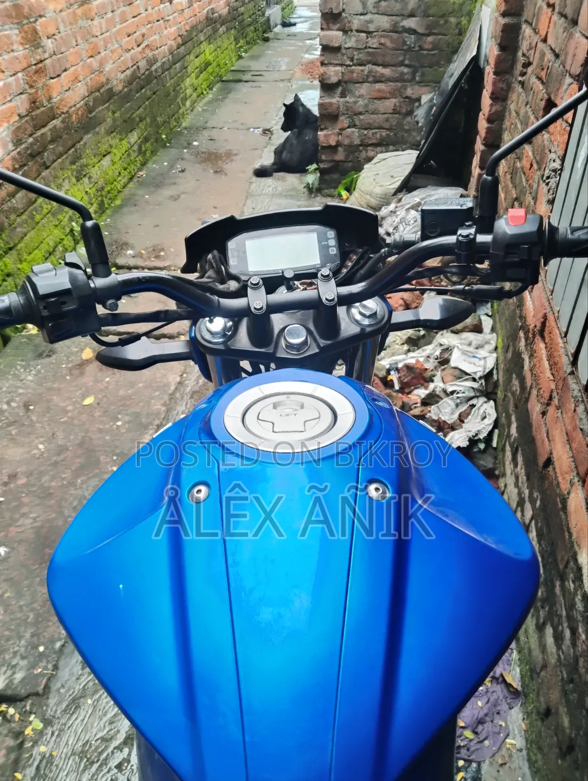 Suzuki Gixxer 2022 Blue