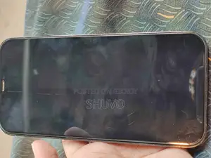 অ্যাপল আইফোন ১২ প্রো ম্যাক্স ১২৮ জিবি গ্রে