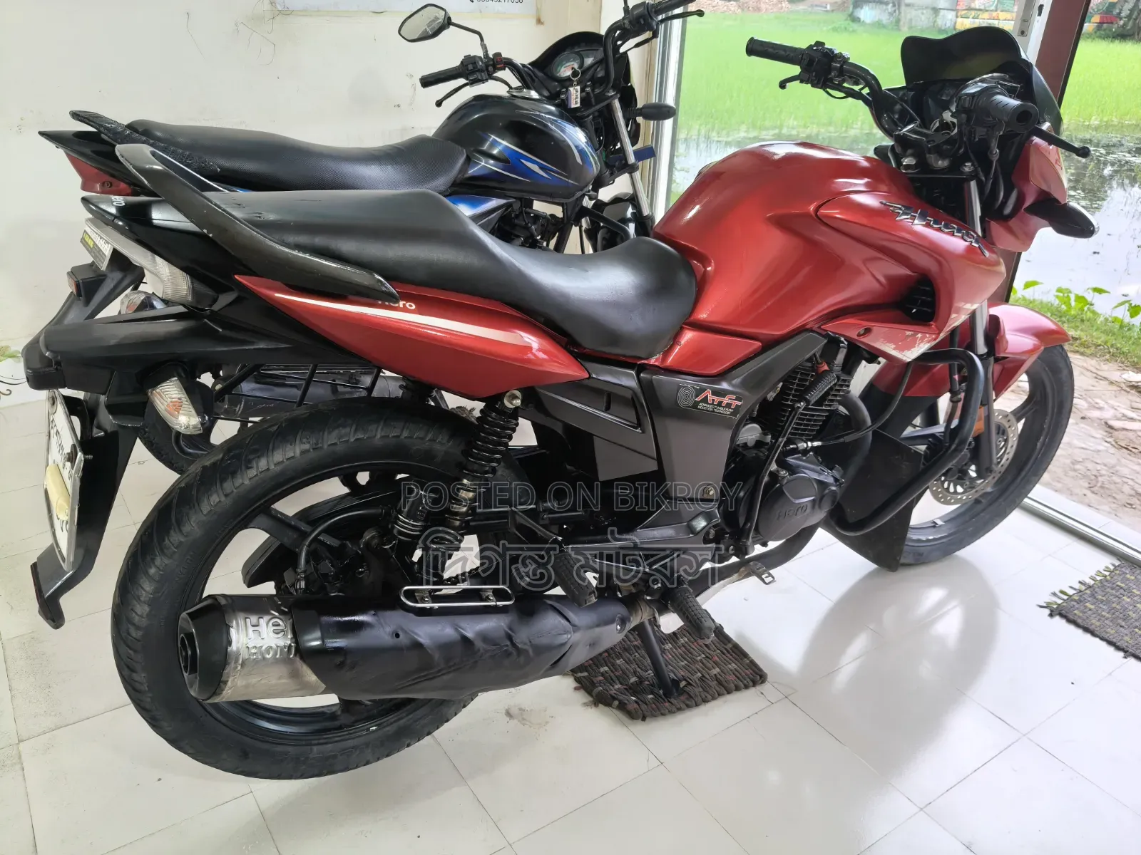 হিরো হাংক ২০১৮ লাল