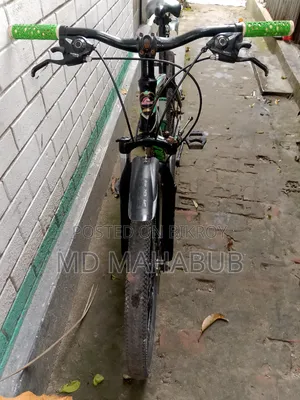 Duranta Bicycle (Emergency Sale)