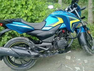 হিরো হাংক ২০২৪ ব্লু