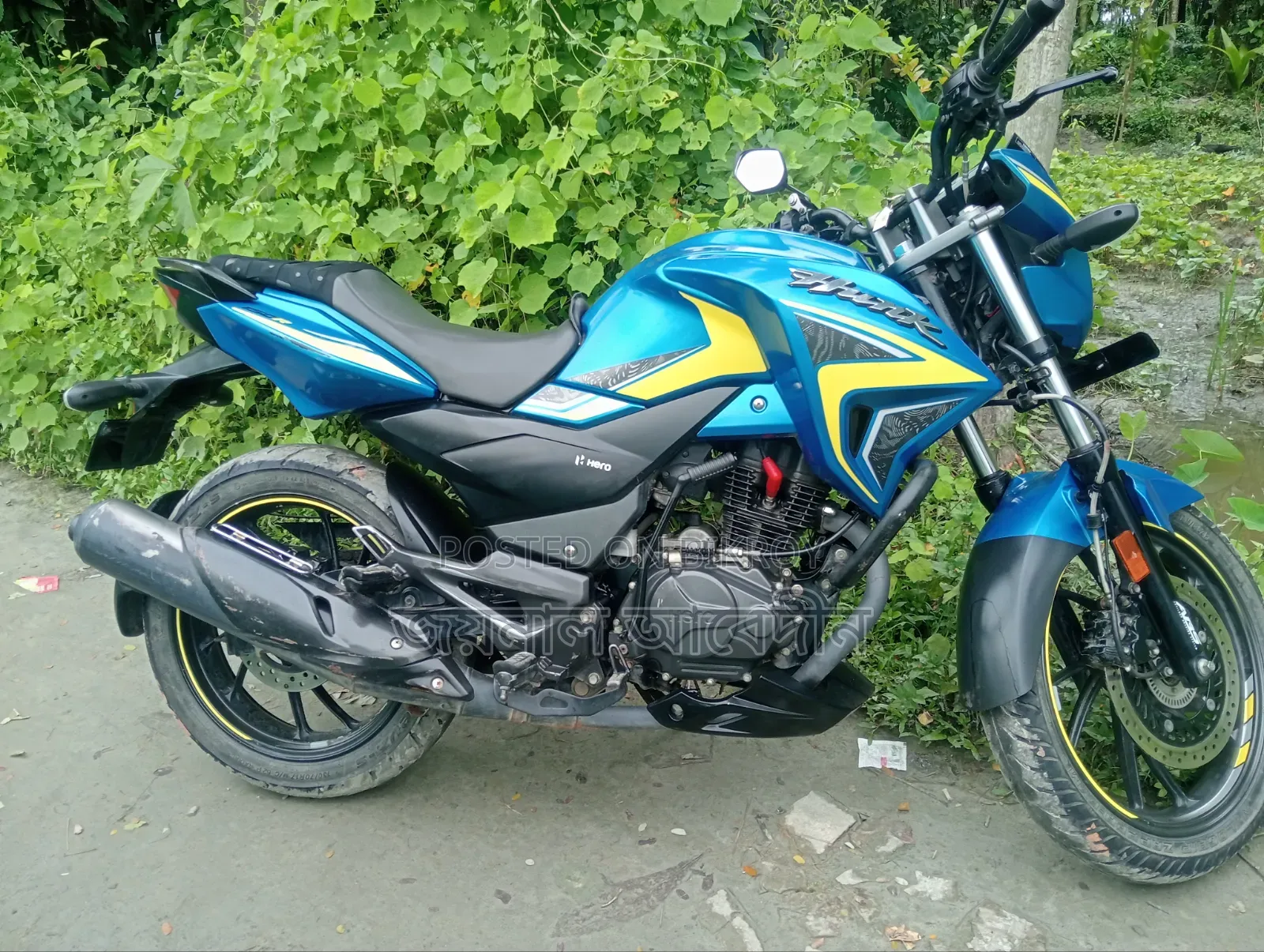 হিরো হাংক ২০২৪ ব্লু