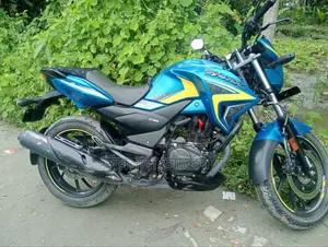হিরো হাংক ২০২৪ ব্লু