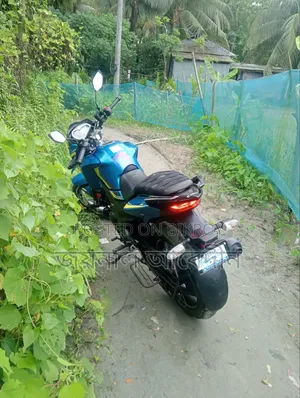 হিরো হাংক ২০২৪ ব্লু