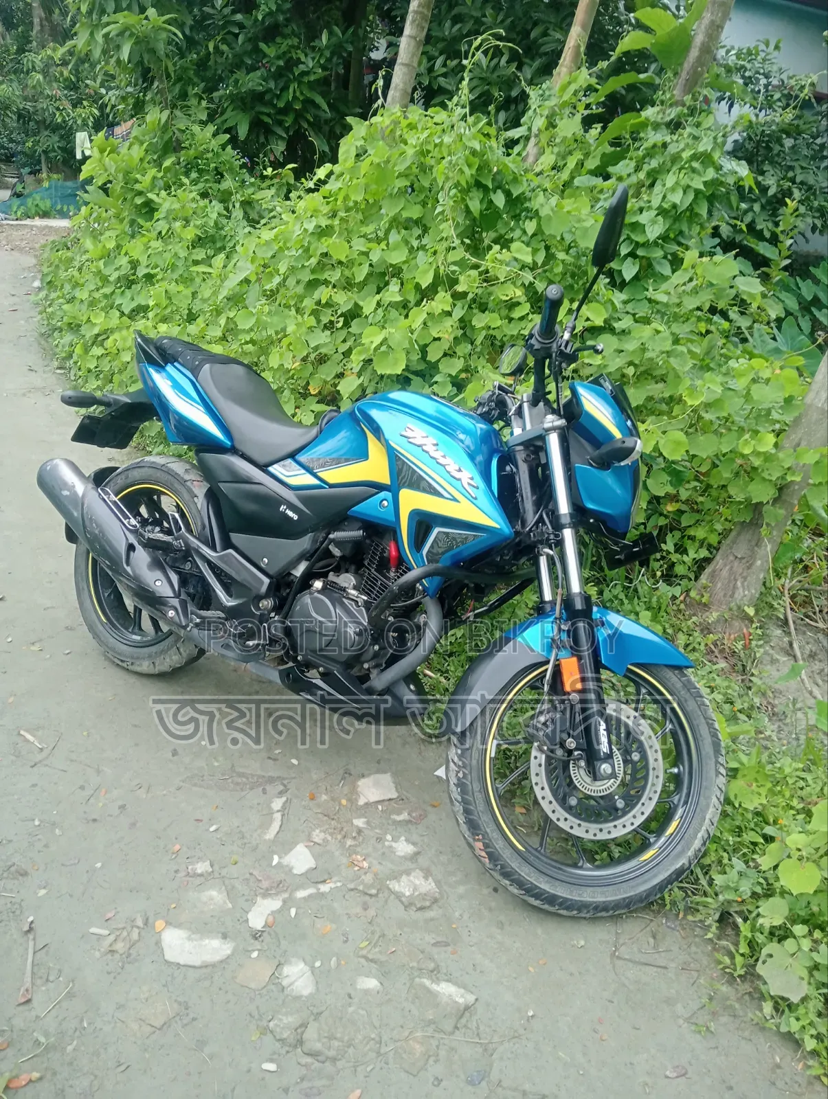 হিরো হাংক ২০২৪ ব্লু
