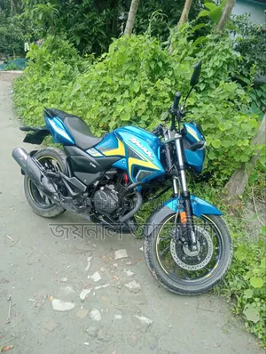 হিরো হাংক ২০২৪ ব্লু