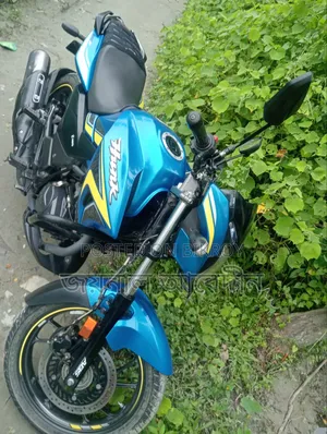 হিরো হাংক ২০২৪ ব্লু