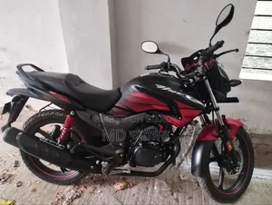 হিরো হাংক ২০২৩ কালো