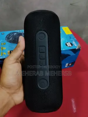 স্পিকার : Hoco DS100