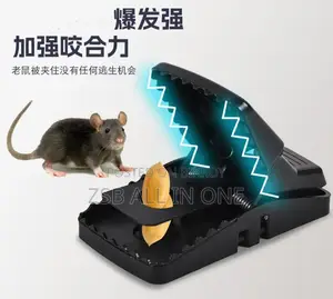 New Mouse Catcher