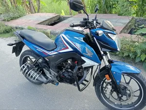 হোন্ডা হর্নেট ২০১৯ নীল