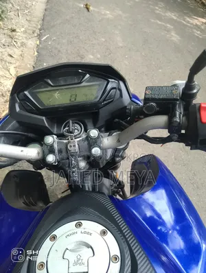 হোন্ডা হর্নেট ২০১৮ ব্লু