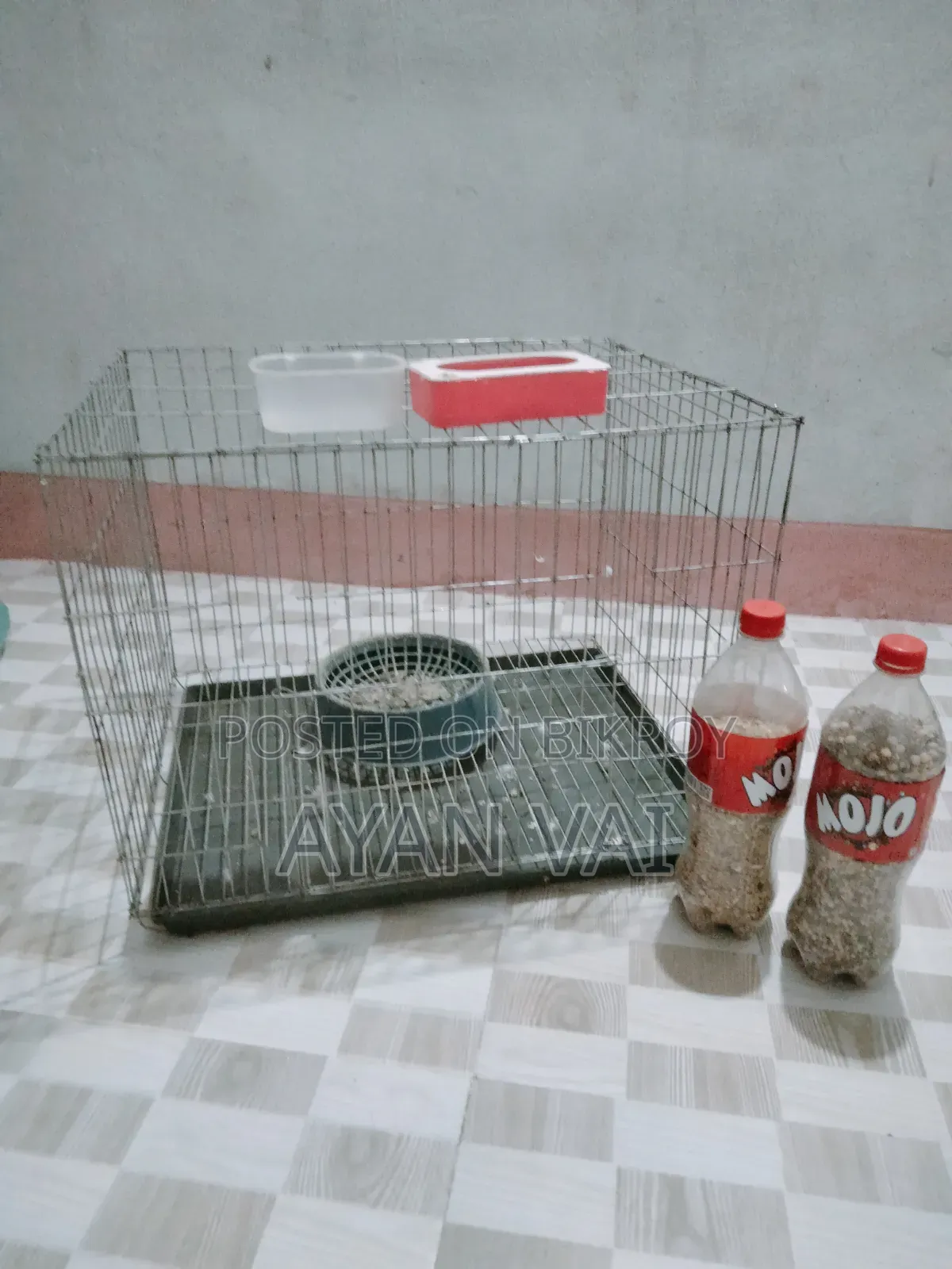 Bird Cage