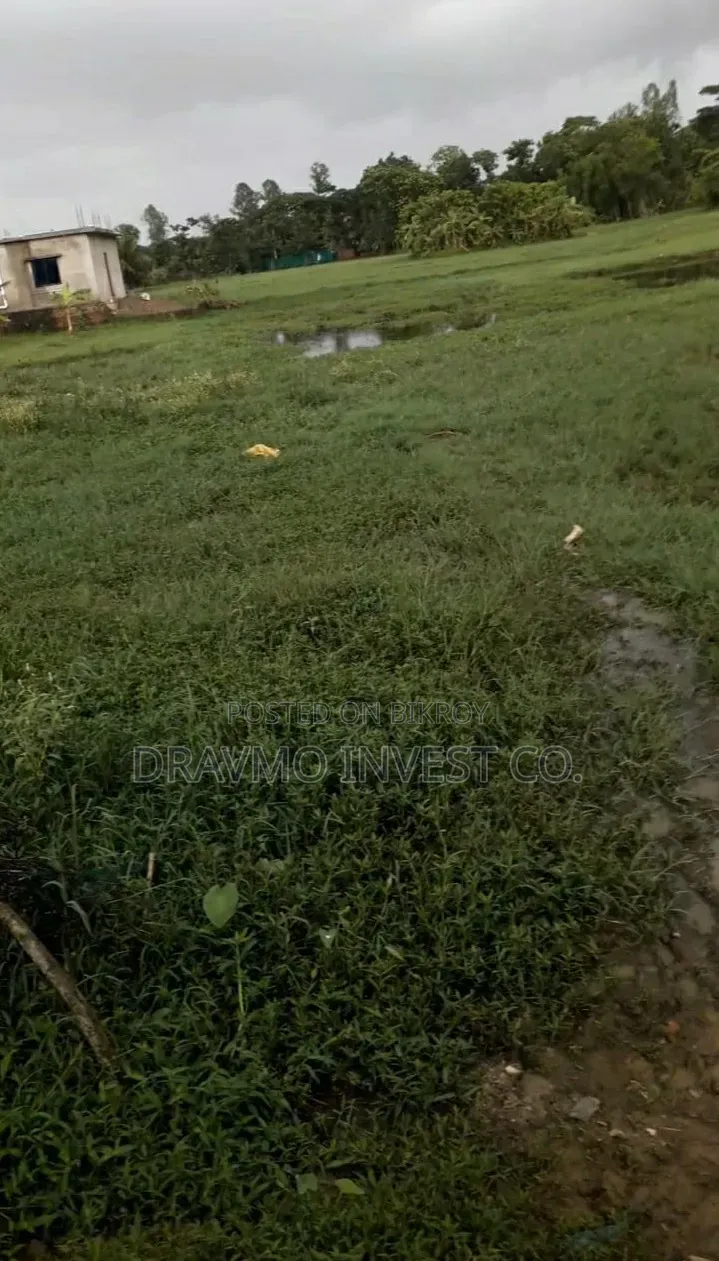 জমি বিক্রয় চন্দনাইশ মোহাম্মদপুর
