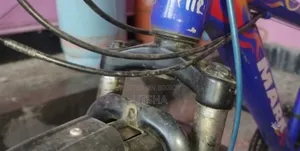 রানিং সাইকেল