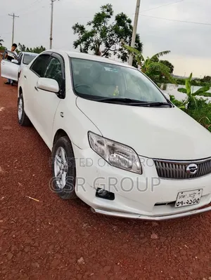 Toyota Axio 2006 Pearl