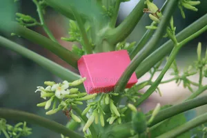 Premium Handmade Rose Bath Soap