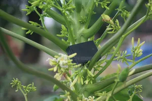 প্রিমিয়াম হ্যান্ডমেড চারকোল বাথ সোপ