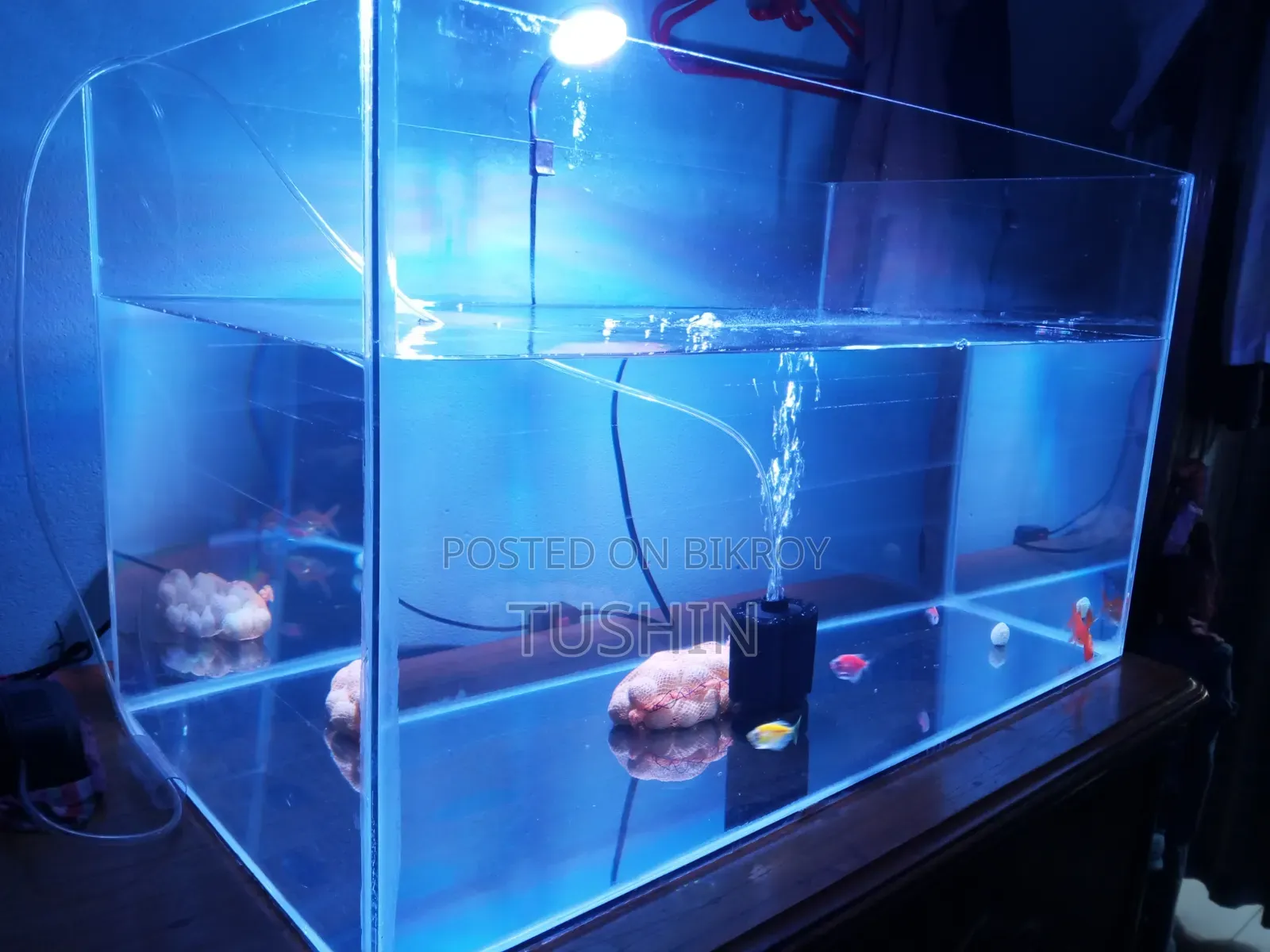 Aquarium: Length- 30" Width-15" Height- 17". 6mm Glass.