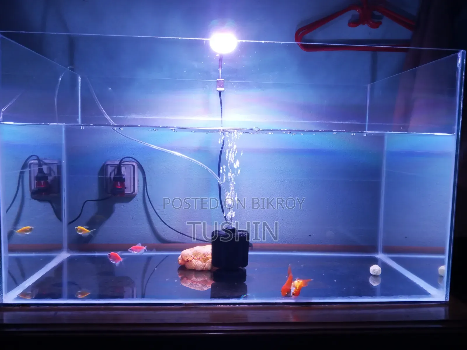 Aquarium: Length- 30" Width-15" Height- 17". 6mm Glass.
