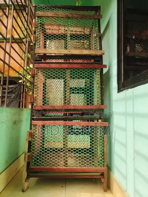 পাখি/মুরগীর খাচা