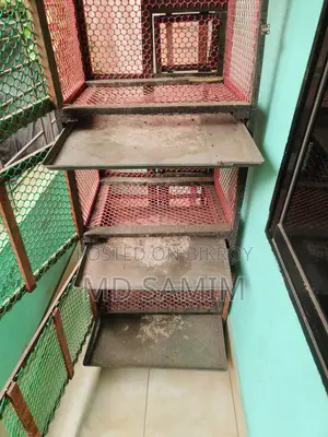পাখি/মুরগীর খাচা