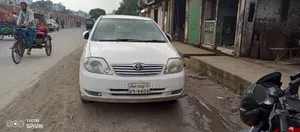 Toyota Corolla 2001 White