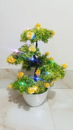 Attractive Flower Vase Best for Home Decor