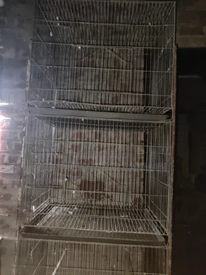 পাখির খাঁচা ৪ খোপ