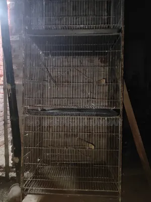 Bird Cage 4 Compartments