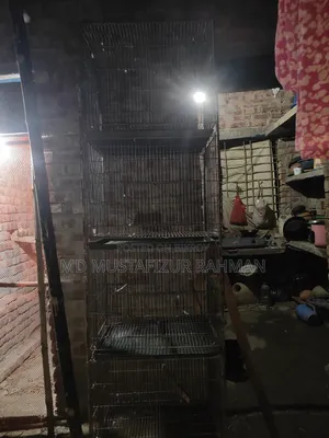Bird Cage 4 Compartments