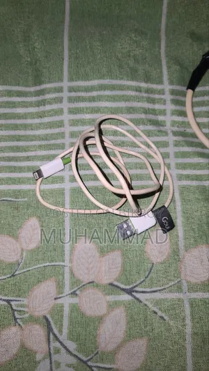 Apple Original Cable