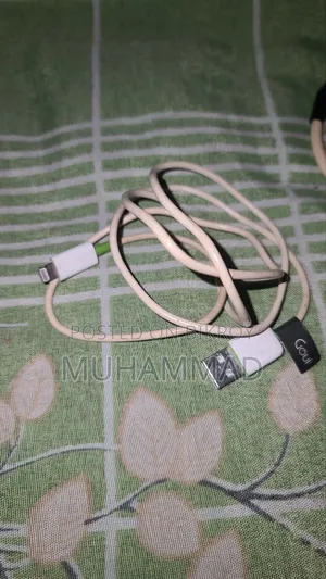 Apple Original Cable