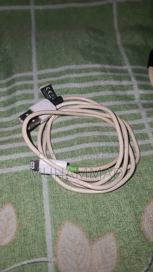 Apple Original Cable