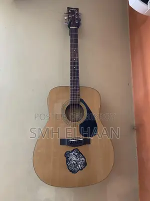 গিটার এফ ৩১০
