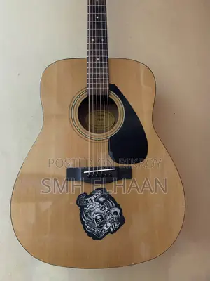 গিটার এফ ৩১০