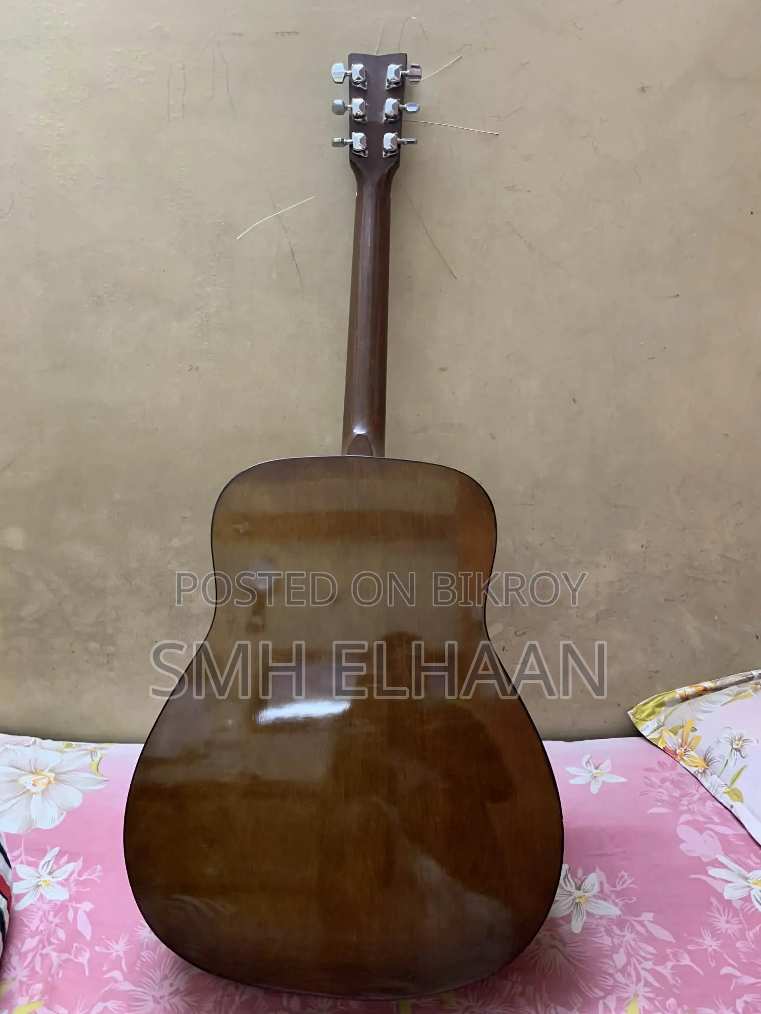 গিটার এফ ৩১০