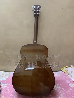 গিটার এফ ৩১০