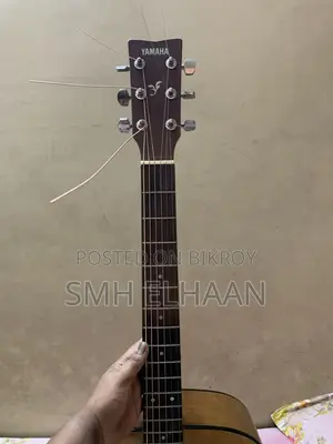 গিটার এফ ৩১০