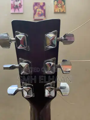 গিটার এফ ৩১০