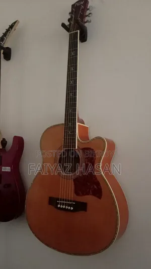 টিজিএম অ্যাকোস্টিক গিটার