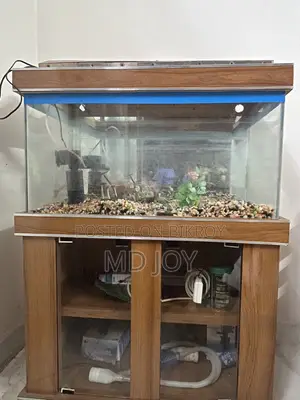 30” x 15” x 15” Fish Aquarium for Sale