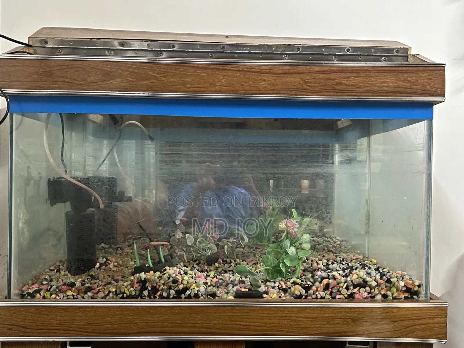 30” x 15” x 15” Fish Aquarium for Sale