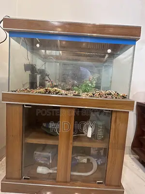 30” x 15” x 15” Fish Aquarium for Sale